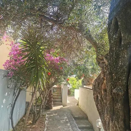 Vista Mare